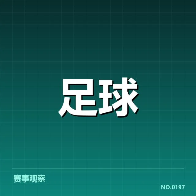 费内巴切参赛阵容及赛程情况